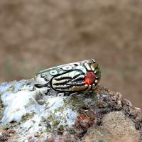 925 Ayar Gümüş Motifli Kırmızı Zirkon Taşlı Erkek Yüzük